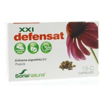 Soria Defenstat 13-C XXI