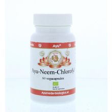 Foto van Ayurveda BR Ayu neem chlorofyl 300mg
