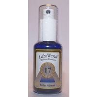 Pallas Athene tinctuur 17