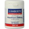 Afbeelding van Lamberts Crataegus 2500 mg (hawthorn)