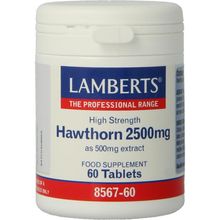 Foto van Lamberts Crataegus 2500 mg (hawthorn)