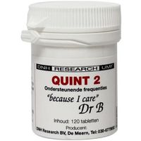 DNH Quint 2