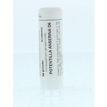 Foto van Homeoden Heel Potentilla anserina D6