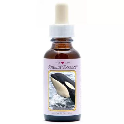 Animal Essences Orca