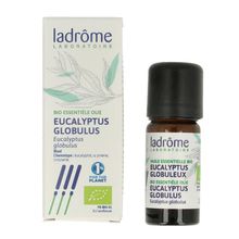 Foto van La Drome Eucalyptus globulus olie bio