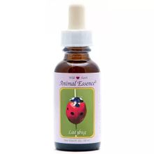 Foto van Animal Essences Ladybug (lieveheersbeestje)