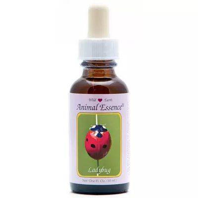 Animal Essences Ladybug (lieveheersbeestje)