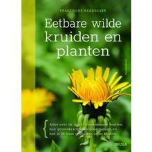 Foto van Eetbare wilde kruiden en planten