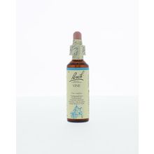 Foto van Vine / wijnrank