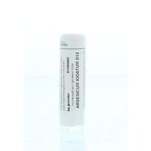 Foto van Homeoden Heel Arsenicum iodatum D12