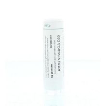 Foto van Homeoden Heel Ammi visnaga D30