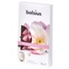 Afbeelding van Bolsius Waxmelts true scents magnolia