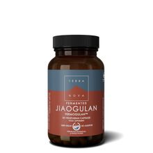 Foto van Terranova Fermented jiaogulan 250 mg