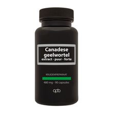 Foto van Apb Holland Canadese geelwortel 480mg puur