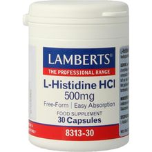 Foto van Lamberts L-Histidine 500 mg