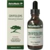 Afbeelding van Nutramedix cryptolepis