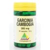 Afbeelding van SNP Garcinia cambogia 300 mg