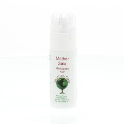 Mother Gaia Meridiaan 06 nier