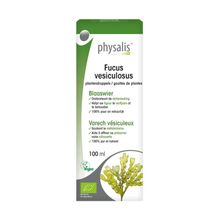 Foto van Physalis Fucus vesiculosus bio