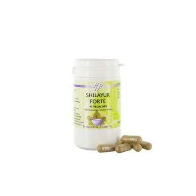 Foto van Shilayur forte