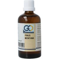 GO Pinus montana bio