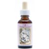 Afbeelding van Animal Essences Snow leopard (sneeuwluipaard)