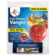 Foto van Lucovitaal Fruitvliegjes vanger