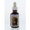 Afbeelding van Animal Essences Buffalo (buffel)