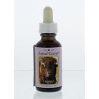 Animal Essences Buffalo (buffel)