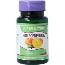 Foto van SNP Pompoenpitolie 500mg