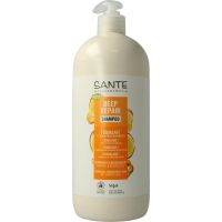 Sante Deep repair shampoo