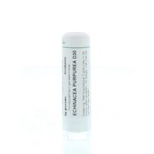 Foto van Homeoden Heel Echinacea purpurea D30