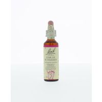 Star of Bethlehem / vogelmelk