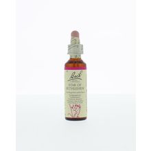 Foto van Star of Bethlehem / vogelmelk