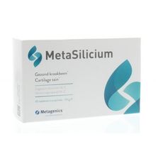 Foto van Metagenics Metasilicium