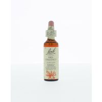 Red chestnut / rode kastanje