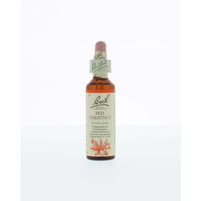 Foto van Red chestnut / rode kastanje