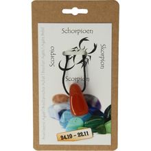 Foto van Sterrenbeeldhanger schorpioen