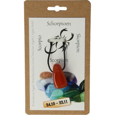 Sterrenbeeldhanger schorpioen 1 stuks - 