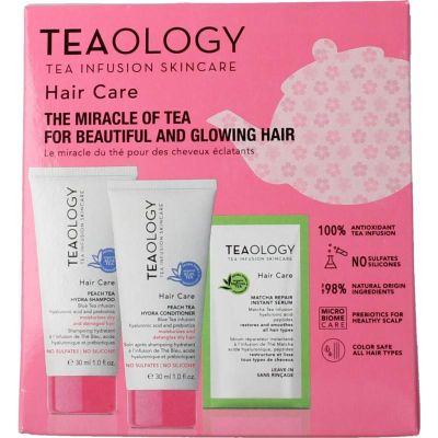 Teaology Peach tea hair kit 1 stuks - Algemeen