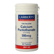 Foto van Lamberts Vitamine B5 (calcium pantothenaat) time release