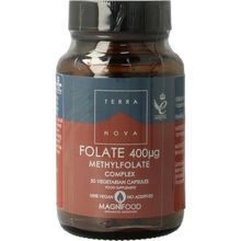 Foto van Terranova Folaat 400 mcg complex