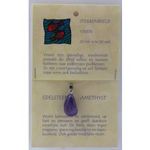 Foto van Sterrenbeeldsteen hanger vissen