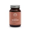 Afbeelding van Mattisson Berberine 500mg Rebersa