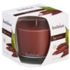 Afbeelding van Bolsius Geurglas 95/95 true scents oud wood
