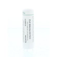 Foto van Homeoden Heel Colocynthis D12