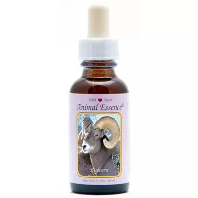 Animal Essences Bighorn sheep (schaap)