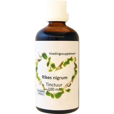 Foto van Ribes nigrum zwarte bes