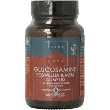 Foto van Terranova Glucosamine boswellia & MSM complex