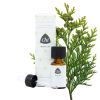 Afbeelding van CHI Thuja wild
